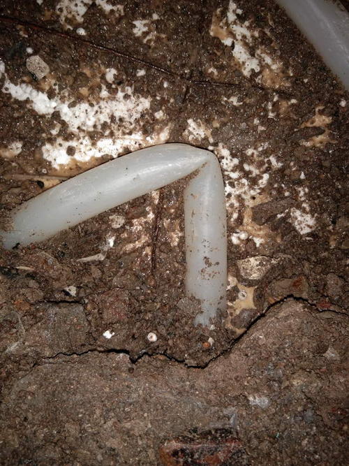 天等堵点精准查找